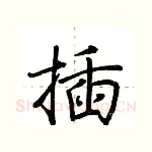 插