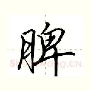 脾
