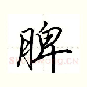 脾