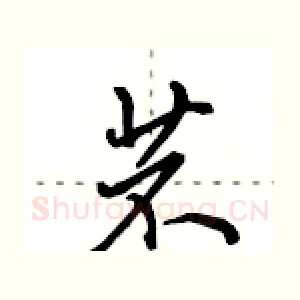 苤