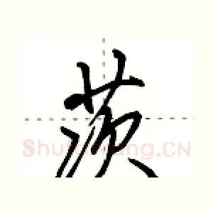 茨