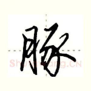 豚