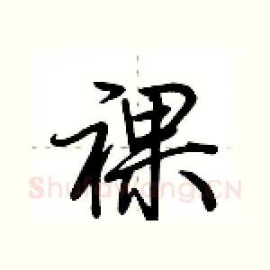 裸