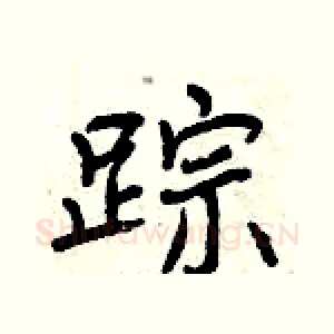 踪