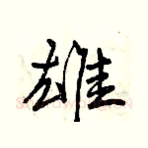 雄