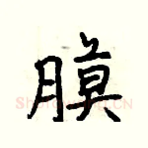 膜
