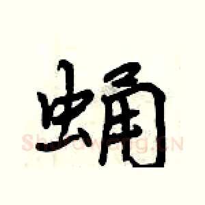 蛹