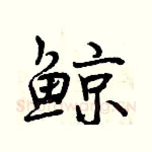 鲸
