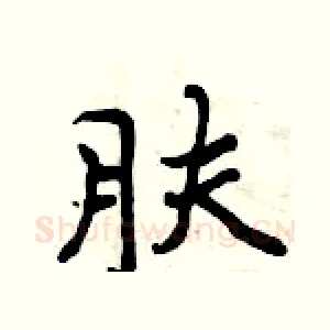 肤