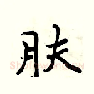 肤