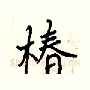 椿