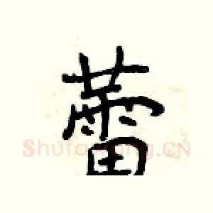 蕾