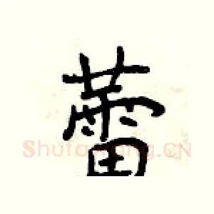 蕾