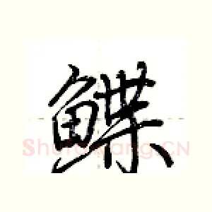 鲽
