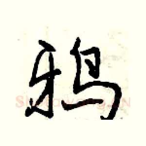 鸦