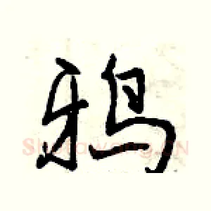 鸦