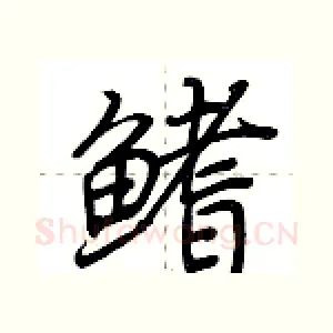 鳍