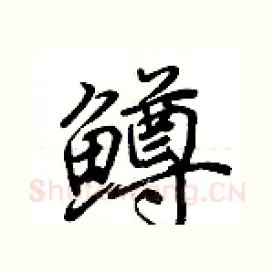 鳟