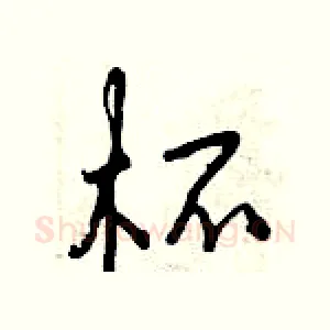 杯
