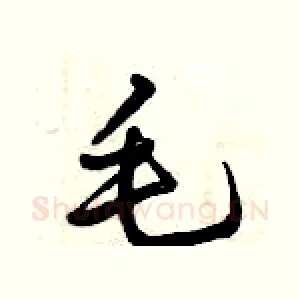 毛