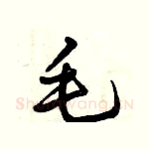 毛