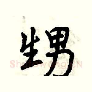 甥