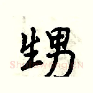 甥