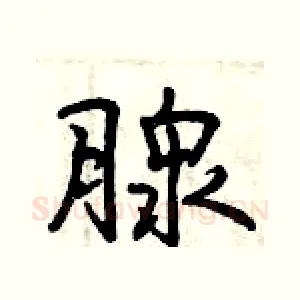 腺