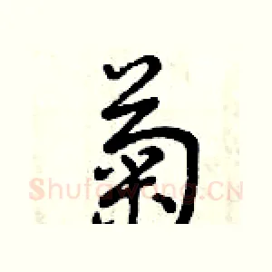 菊