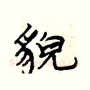 貌