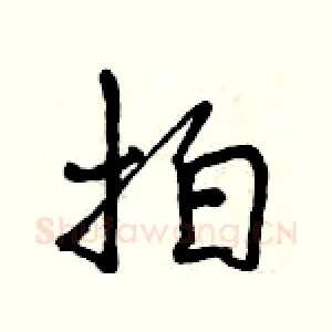 拍