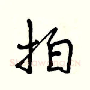 拍