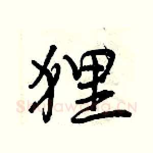 狸