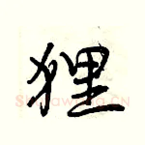 狸