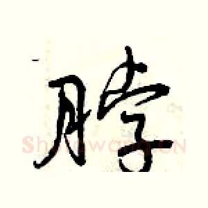 脖