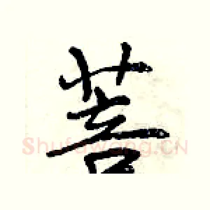菩