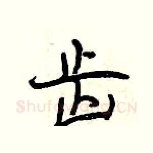 齿
