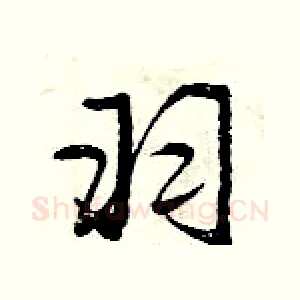 羽