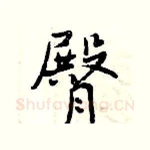 臀