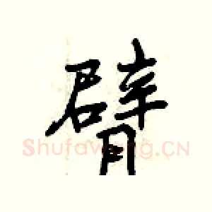 臂