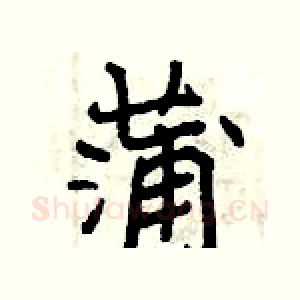 蒲