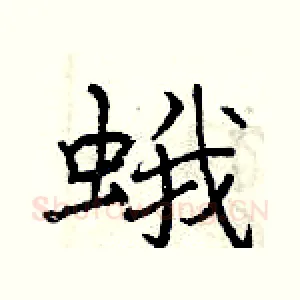 蛾