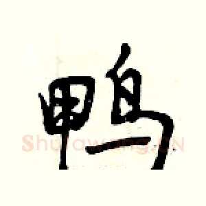 鸭