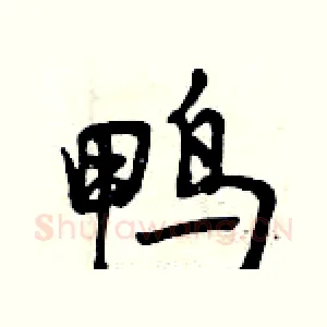 鸭