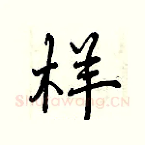样