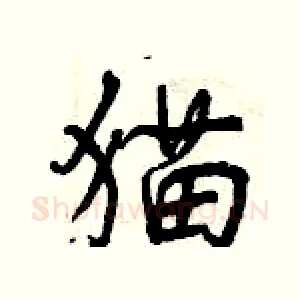 猫