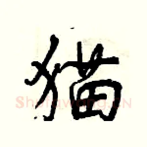 猫