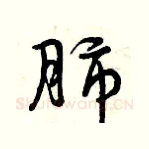 肺