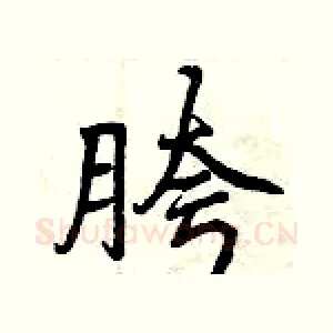 胯
