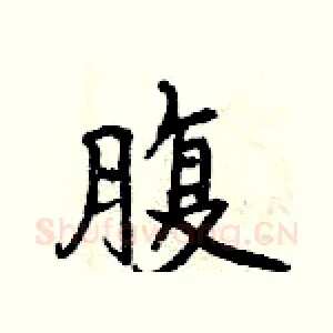 腹